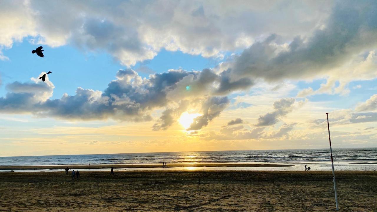 Mevira Appartement Zandvoort Dış mekan fotoğraf